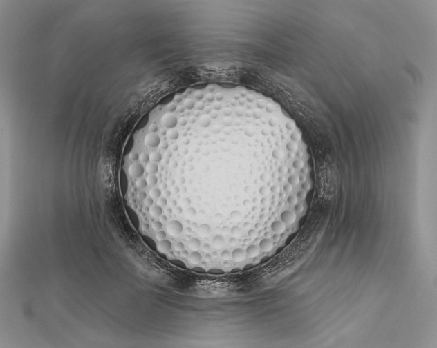 X0000112500699200908311452