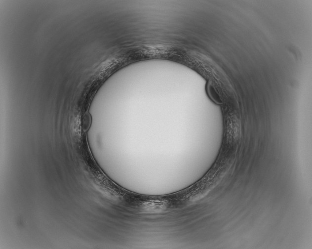 X0000112500700200908311452