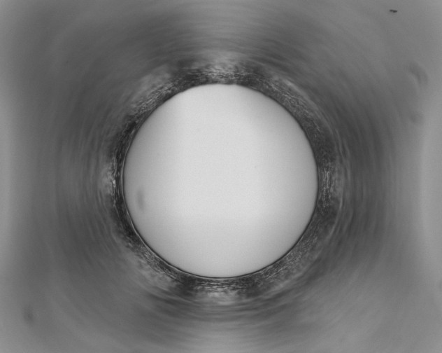 X0000112500702200908311452