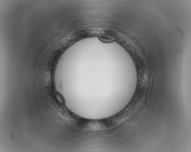 X0000112500704200908311452