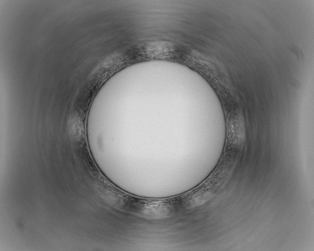 X0000112500705200908311452