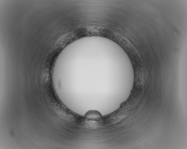 X0000112500706200908311452