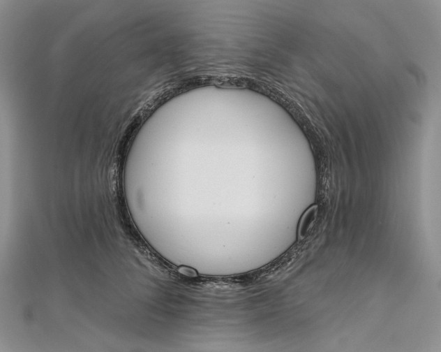 X0000112500708200908311452