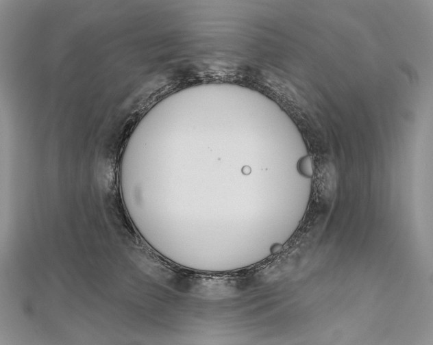 X0000112500709200908311452