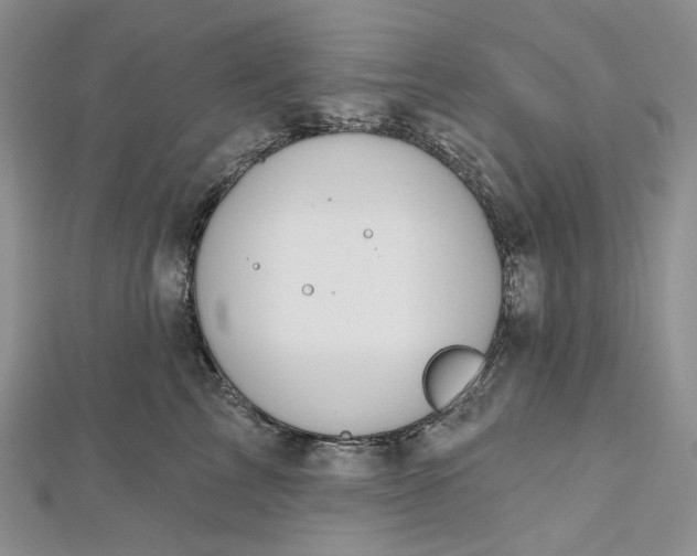 X0000112500713200908311452