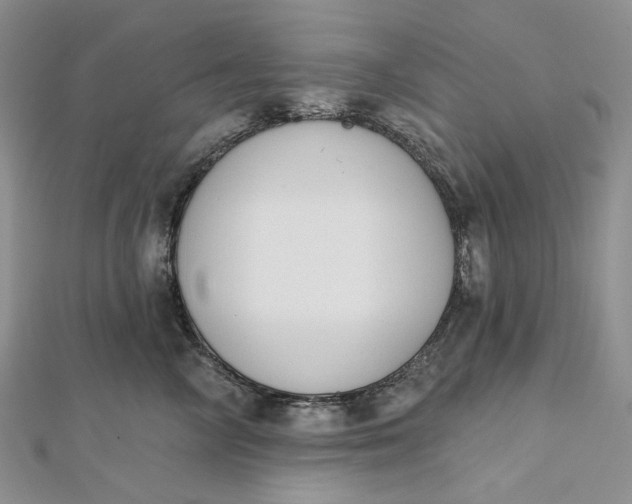 X0000112500714200908311452