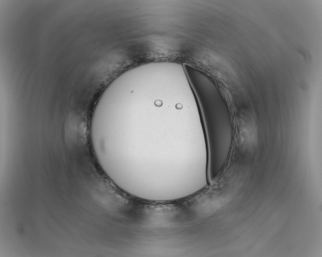 X0000112500716200908311452