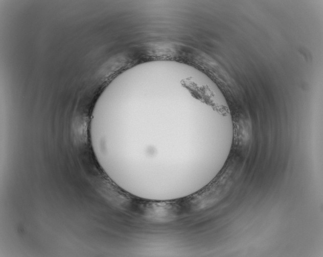 X0000112500717200908311452