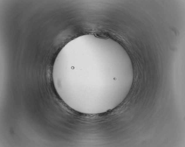 X0000112500720200908311452