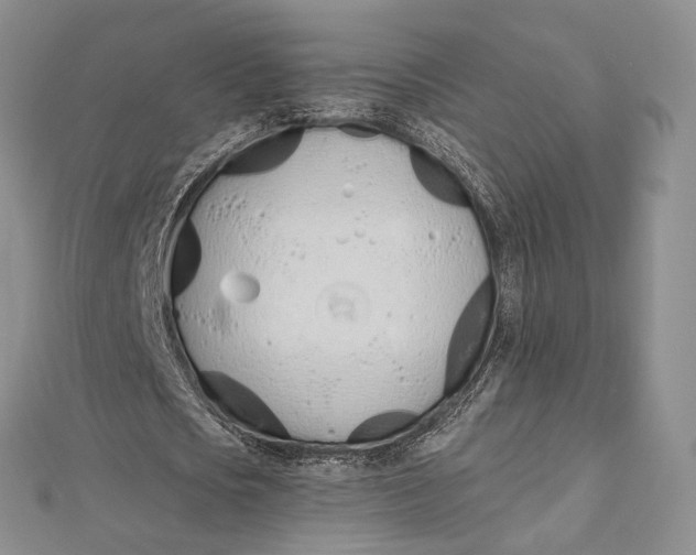 X0000112500721200908311451