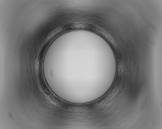 X0000112500722200908311451