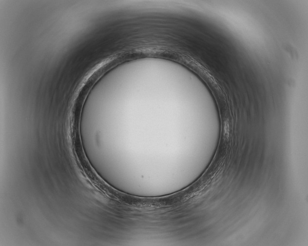 X0000112500724200908311451