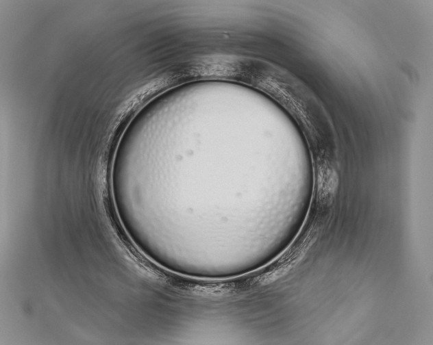 X0000112500725200908311451