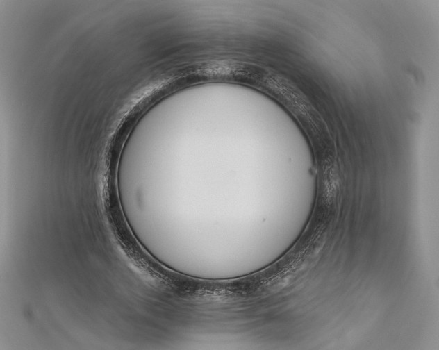 X0000112500728200908311451