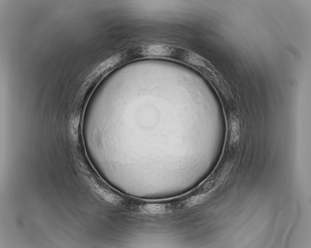 X0000112500729200908311451