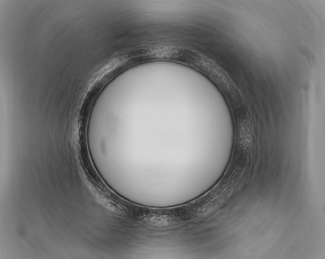 X0000112500730200908311451