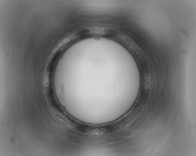 X0000112500731200908311451