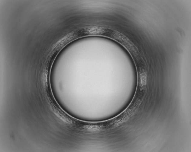 X0000112500733200908311452