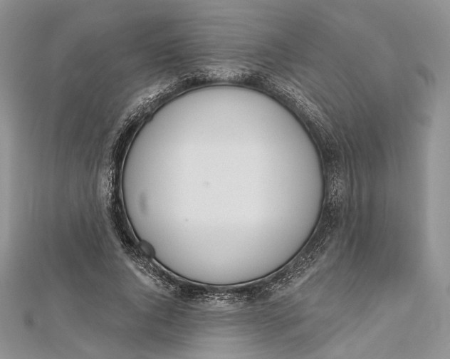 X0000112500736200908311452