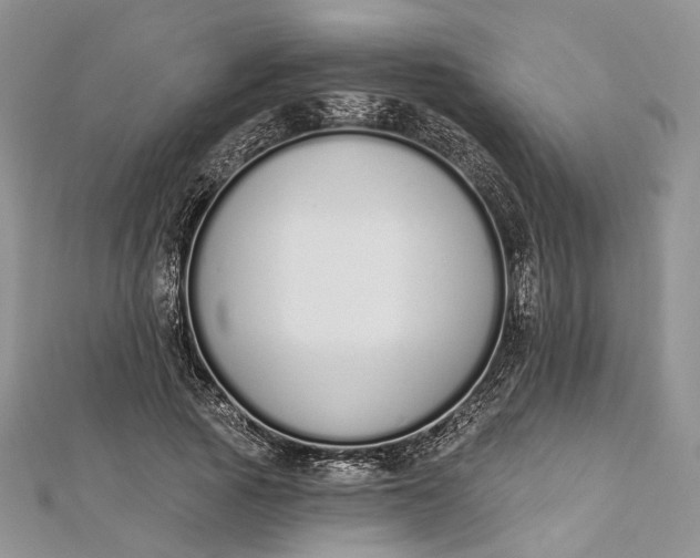 X0000112500737200908311452