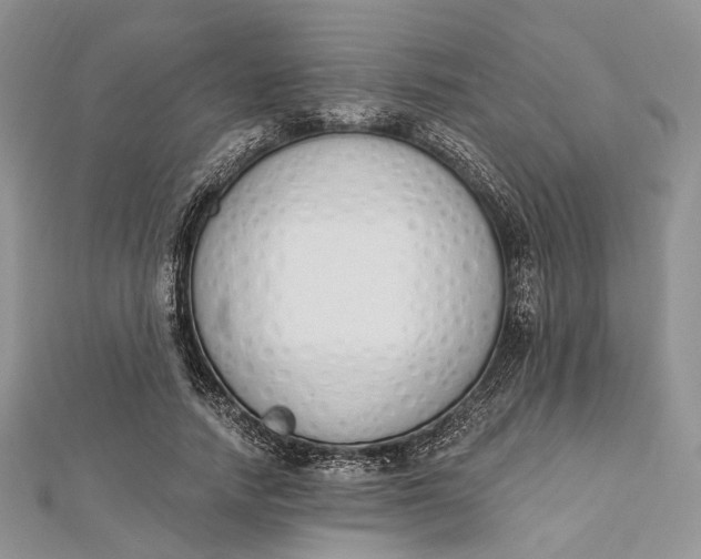 X0000112500738200908311452