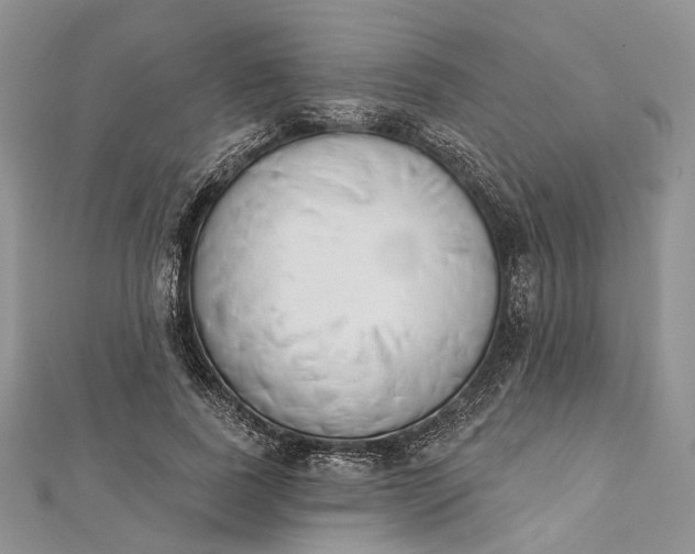 X0000112500739200908311452