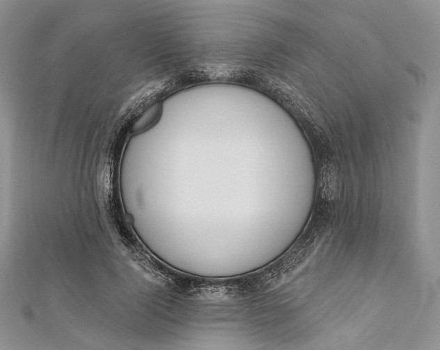 X0000112500740200908311452