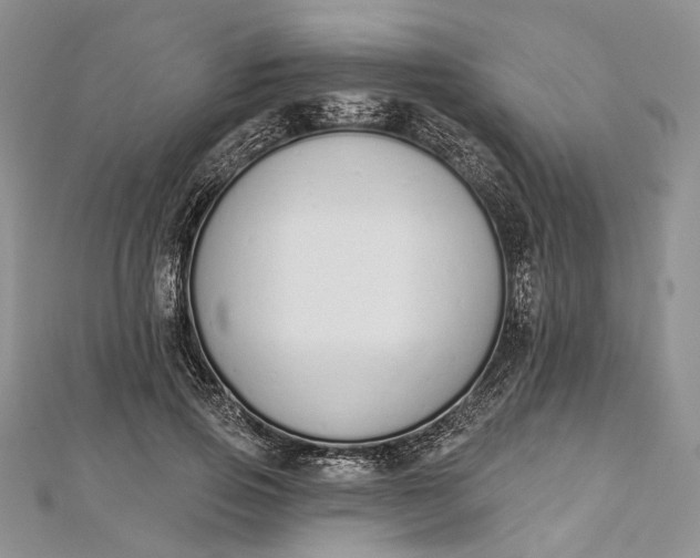 X0000112500741200908311452