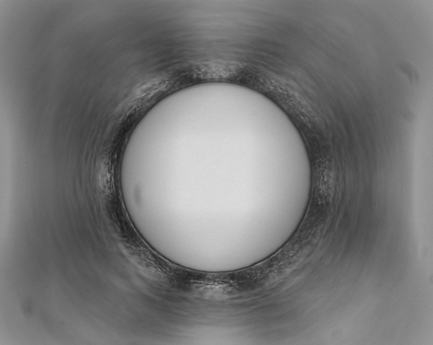 X0000112500743200908311452