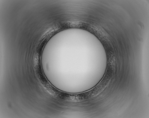 X0000112500744200908311452