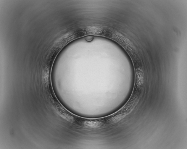 X0000112500745200908311452