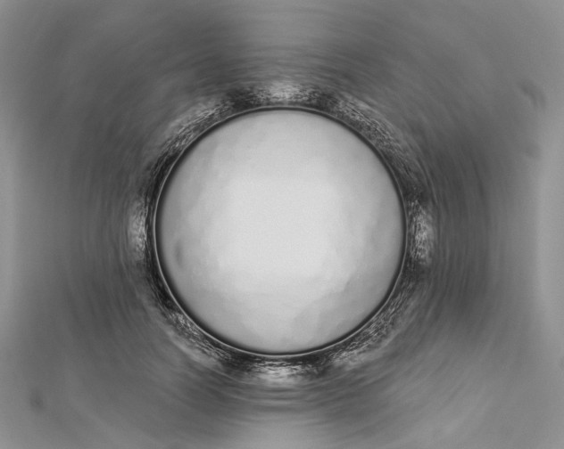 X0000112500746200908311452