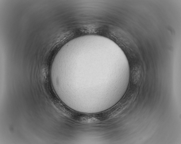 X0000112500747200908311452