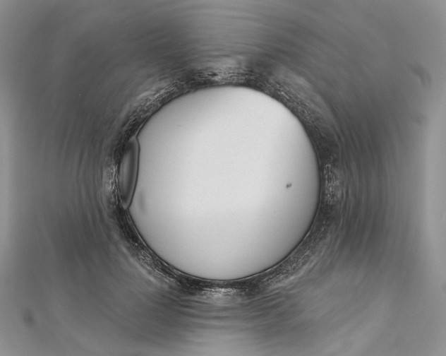 X0000112500748200908311452