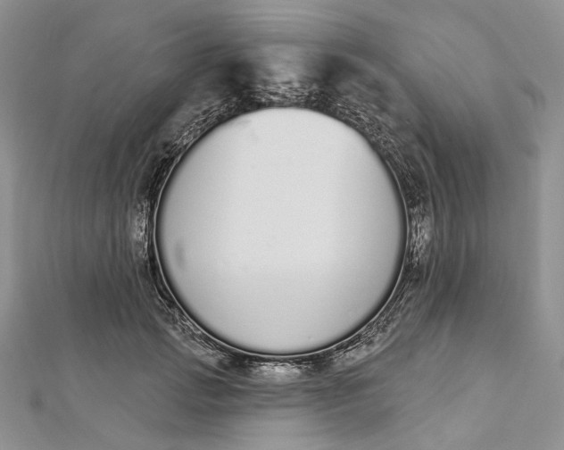 X0000112500749200908311452