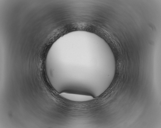 X0000112500750200908311452