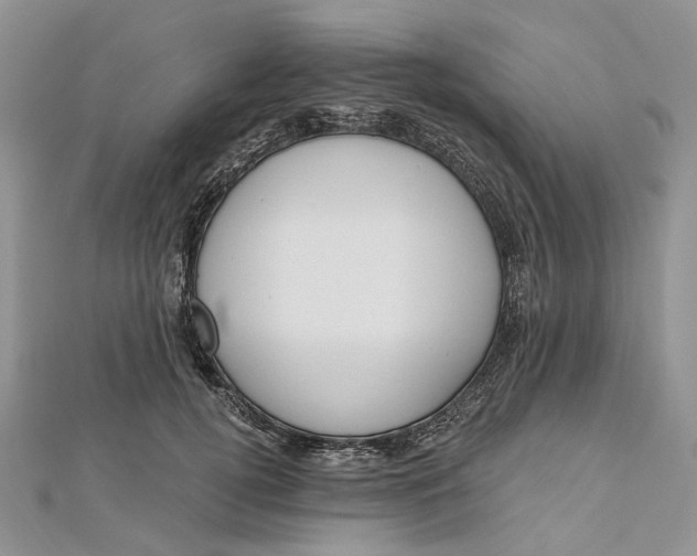 X0000112500752200908311452