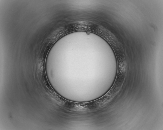 X0000112500753200908311452