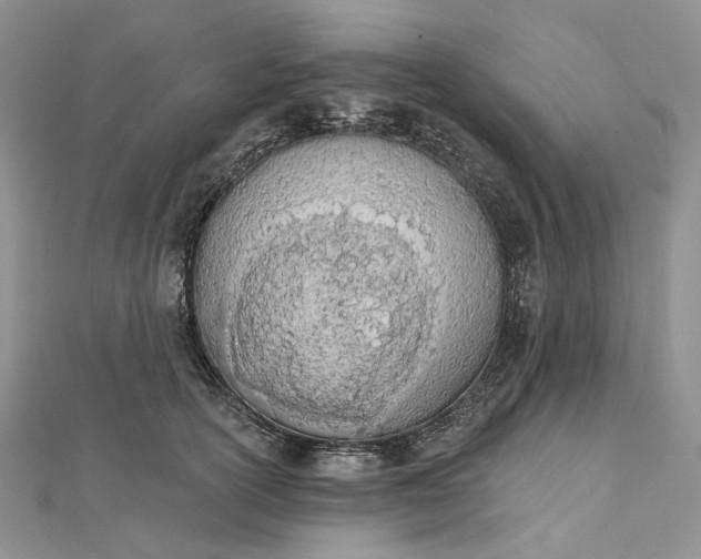 X0000112500754200908311452