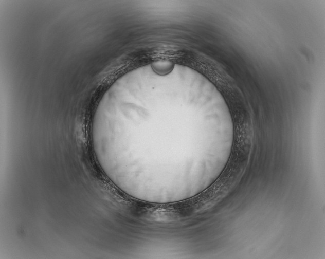 X0000112500755200908311452