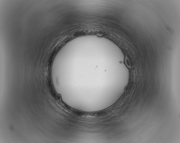 X0000112500756200908311452