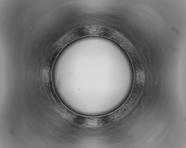 X0000112500757200908311452