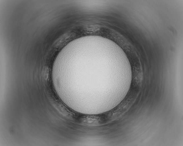 X0000112500758200908311452