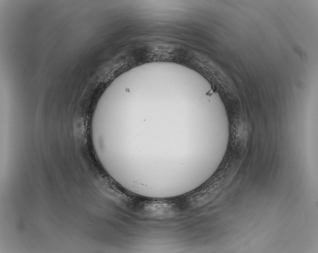 X0000112500759200908311452