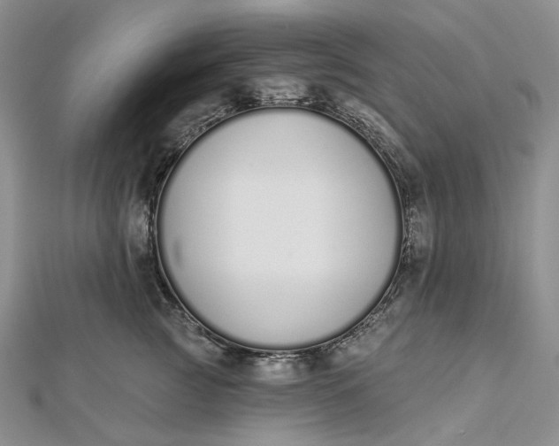 X0000112500761200908311452