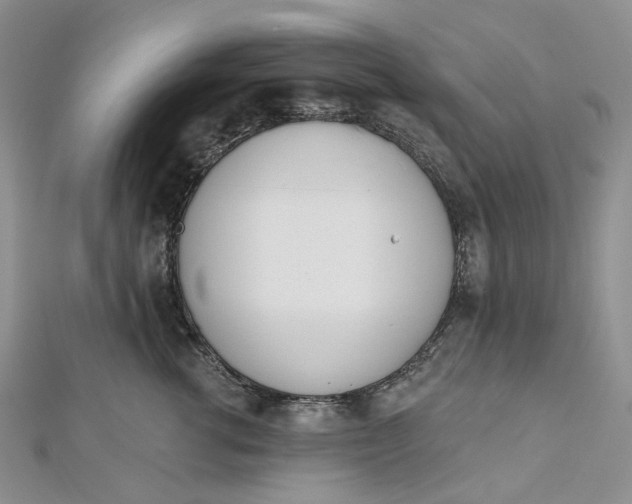 X0000112500762200908311452