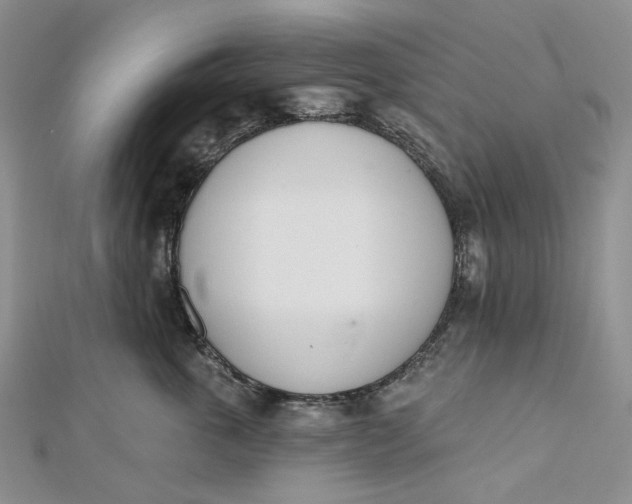 X0000112500763200908311452