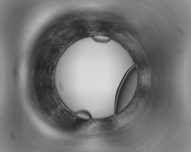 X0000112500764200908311452