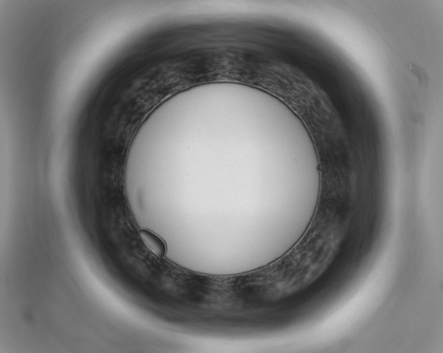 X0000112500766200908311452