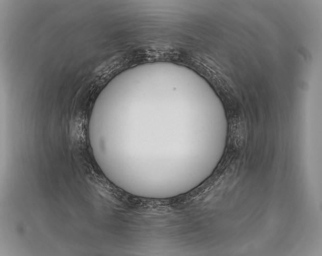 X0000112500770200908311451